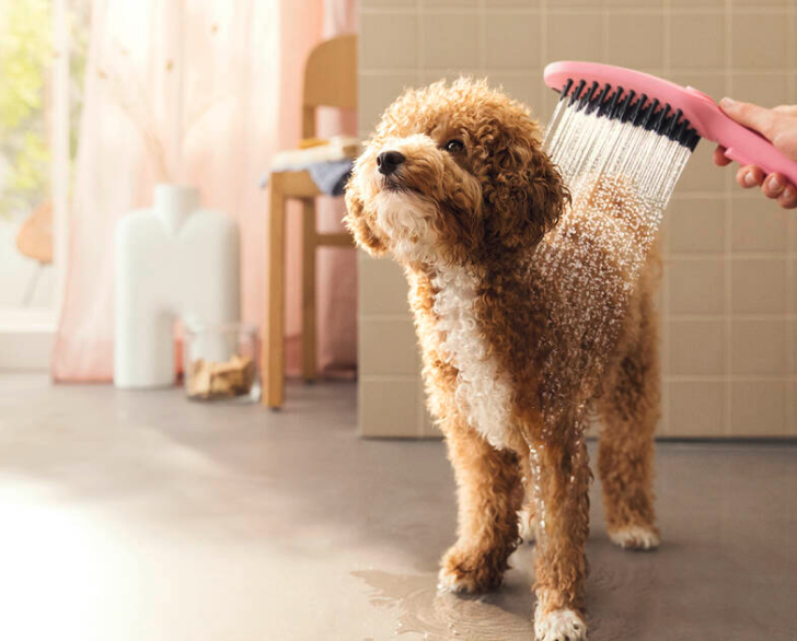 DogShower